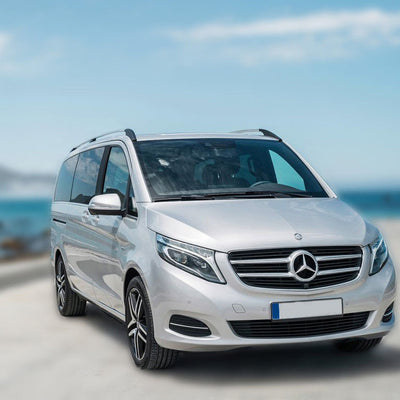 Einstiegsleiste Edelstahl für Mercedes Vito W447 Silber Matt