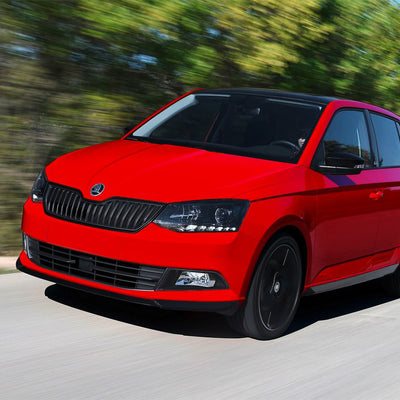 Einstiegsleiste Edelstahl für Skoda Fabia III Silber Matt