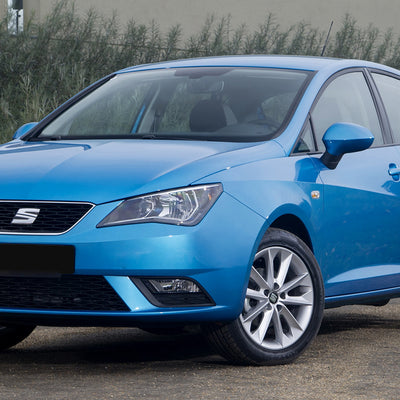 Einstiegsleiste Edelstahl für Seat Ibiza IV 6J Silber Matt