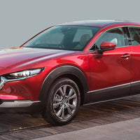 Einstiegsleiste Edelstahl für Mazda CX-30 Silber Matt