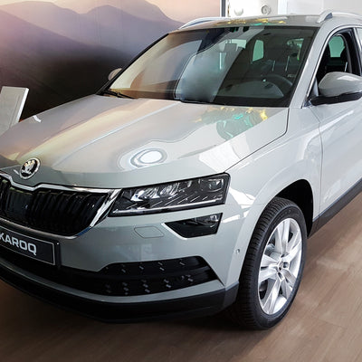 Ladekantenschutz für Skoda Karoq Silber Matt