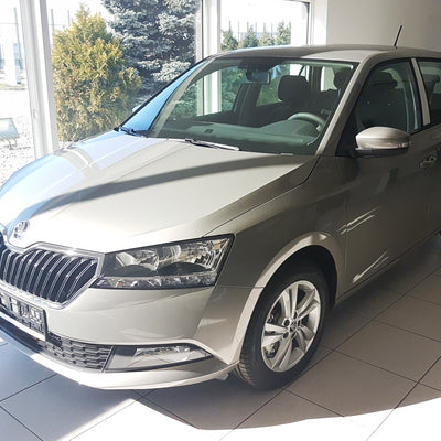 Ladekantenschutz für Skoda Fabia III Combi FL Silber Matt