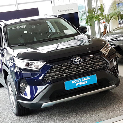 Ladekantenschutz für Toyota RAV4 V Silber Matt