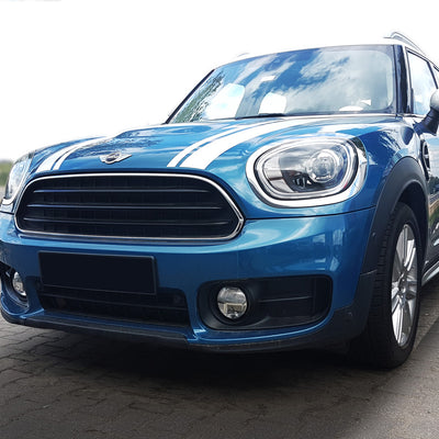 Ladekantenschutz für Mini Countryman F60 Crossover FL Silber Matt