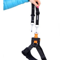 Kardi Air 3D Sicherheitsgurt für Hunde