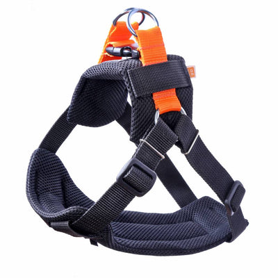 Kardi Air 3D Sicherheitsgurt für Hunde